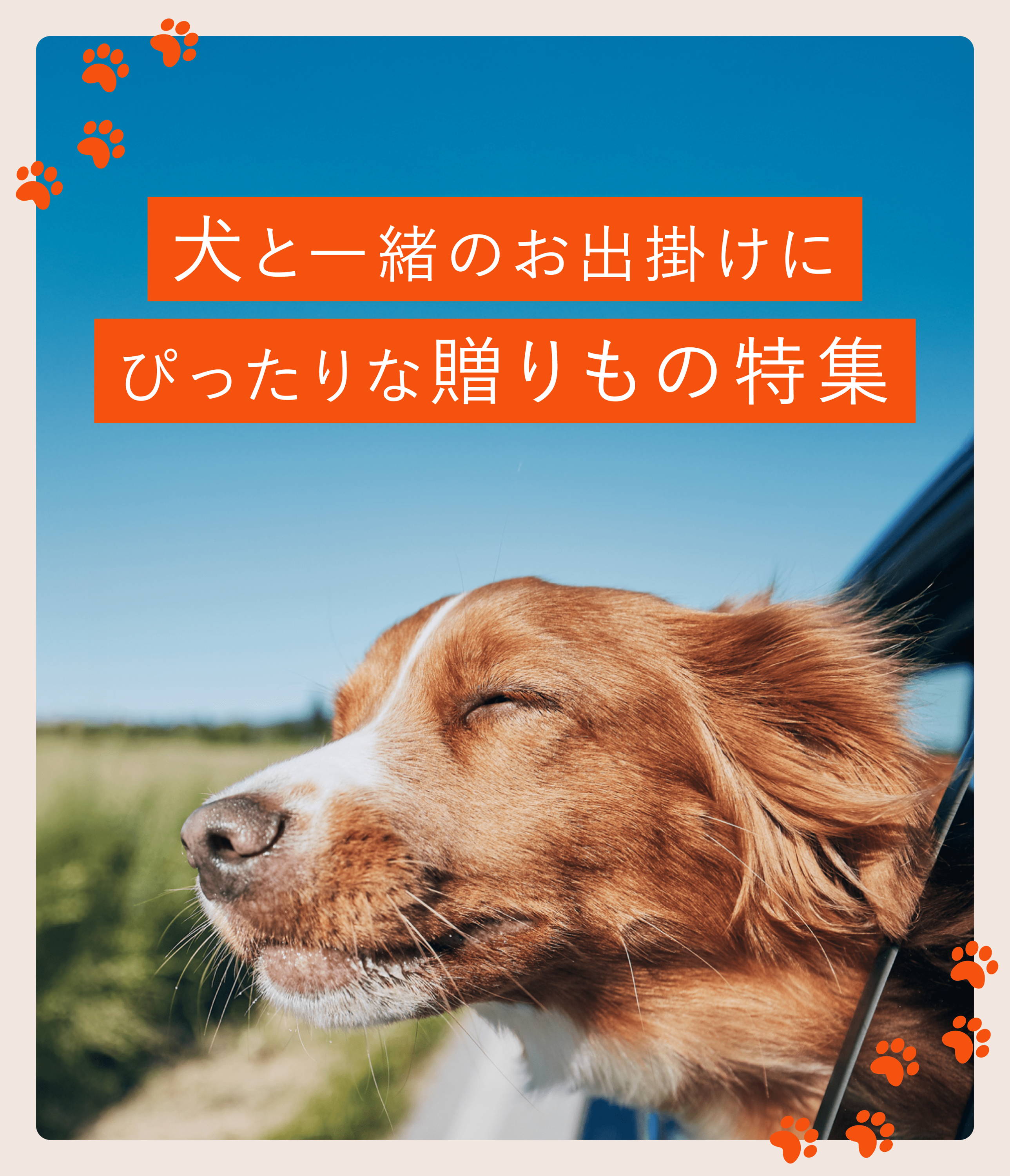 犬と一緒のお出掛けにぴったりな贈りもの特集