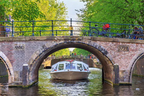 Amsterdam: Van Gogh Museum Ticket and City Canal Cruise