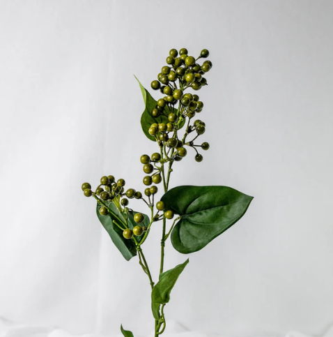 Green Berry - Realistic Artificial Flowers and Greenery - Image 3