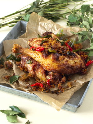 Ayam Goreng Berempah Southeast Asian Recipes Nyonya Cooking