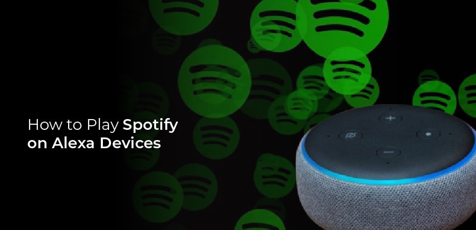How to Play Spotify on Alexa Devices?
