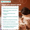 Signs of a Good Latch | The Milky Box