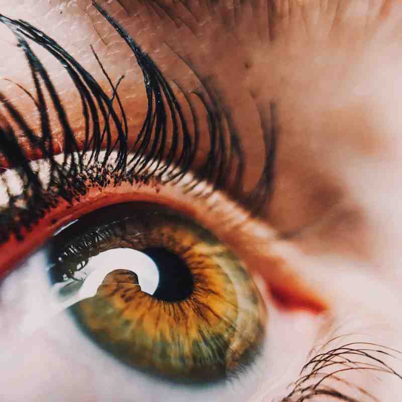 Anatomy of the Eye Made Easy