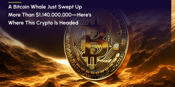 A Bitcoin Whale Just Swept Up More Than $1,140,000,000—Here's Where This Crypto Is Headed