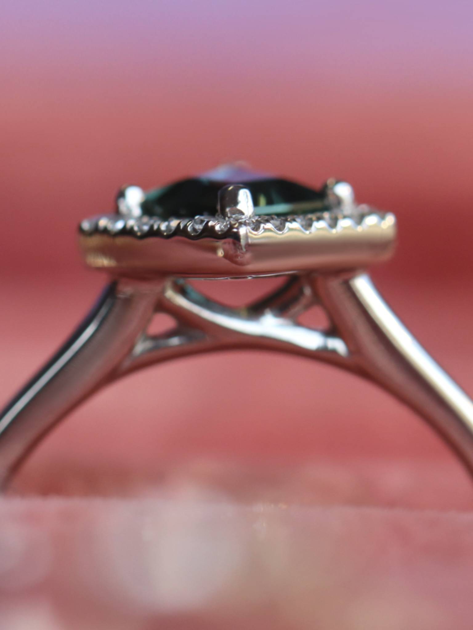 Ring anatomy