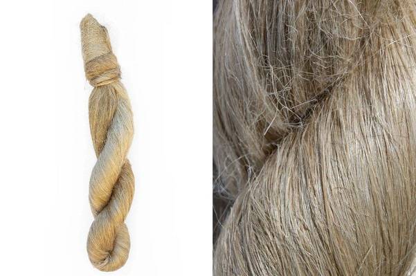 what is flax strick