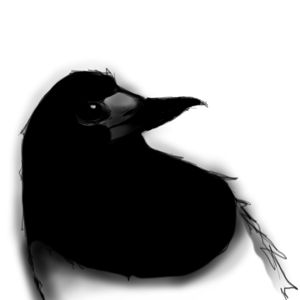 theJian Avatar