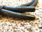 JPS Labs Superconductor 2 RCA Interconnects - (1) meter... 2