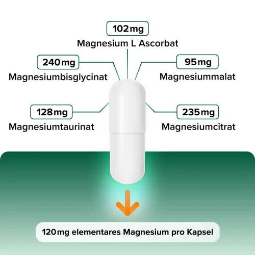 Intensive Magnesium Komplex