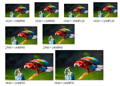 1x5 video wall image before bezel correction 1x5 video wall controller web control