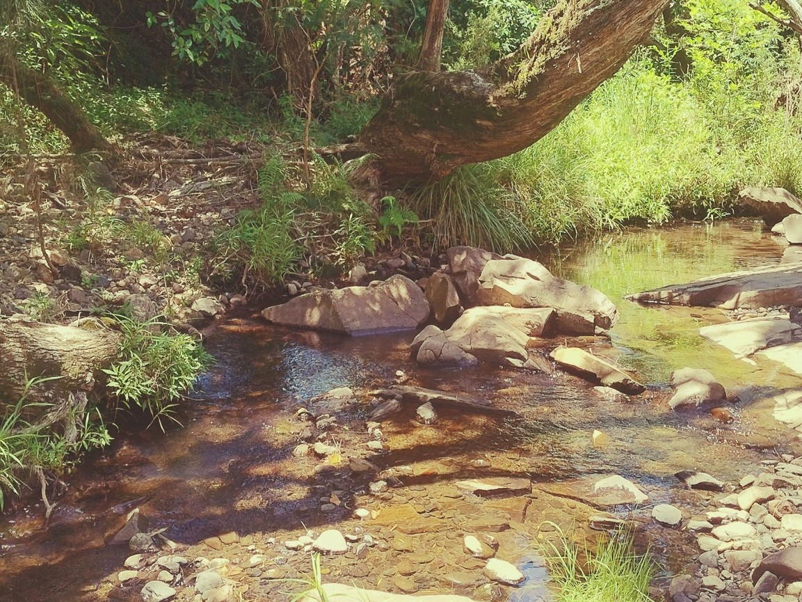 Ellia's Garden Voucher - Image 5