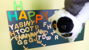 labyrinth kindermuseum happy birthday