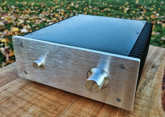 Fleawatt Audio TPA3116D2 Integrated Amp