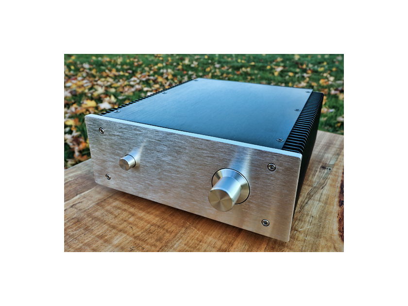 Fleawatt Audio TPA3116D2 Integrated Amp