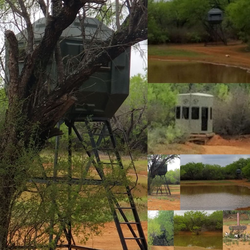 Bashans Ranch - Book Your Trip - Mallard Bay