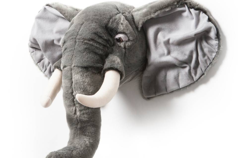 Plyšová trofej Slon George