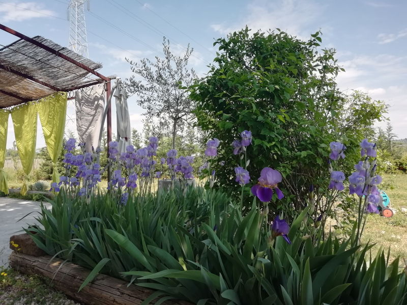 Kochkurse Castelnuovo di Garda: Tauche ein in die kulinarische Tradition des Garda-Sees