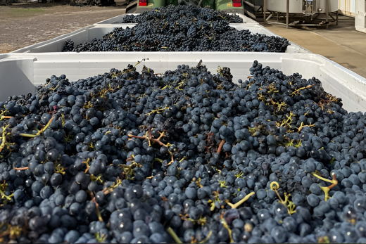 Glenmore Wine