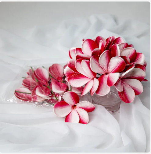 Candy Stripe Frangipani Flowerhead (6 Pack) - Realistic Artificial Flowers - Image 4