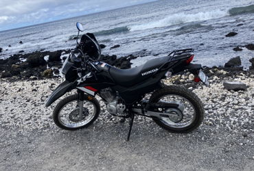 2023 HONDA XR150L motorcycle for rent near Wailuku, HI