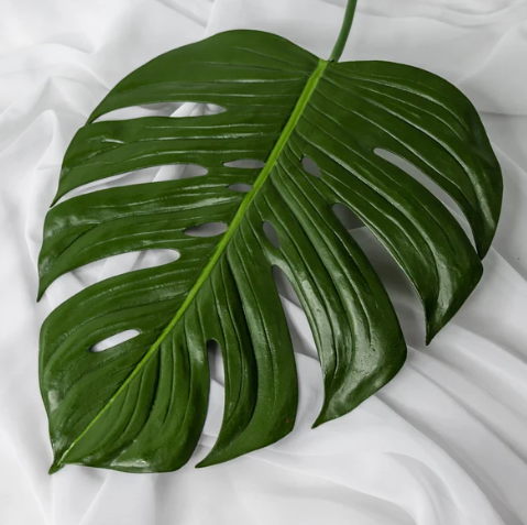 Large Monstera Leaf - Realistic Artificial Flowers and Greenery - Image 4