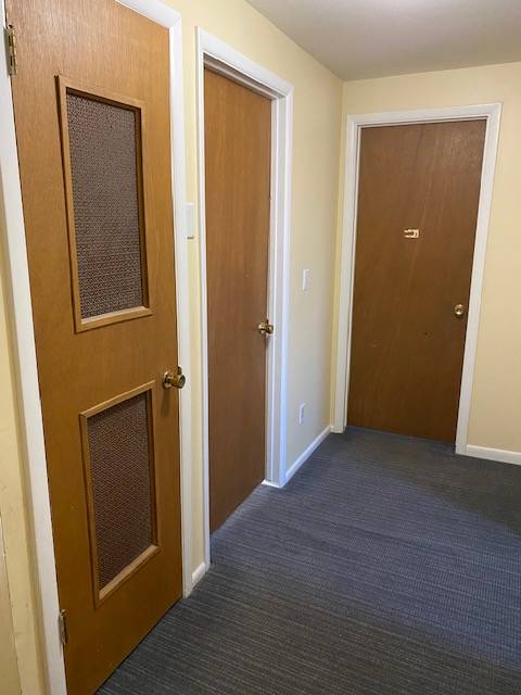 Modern interior door