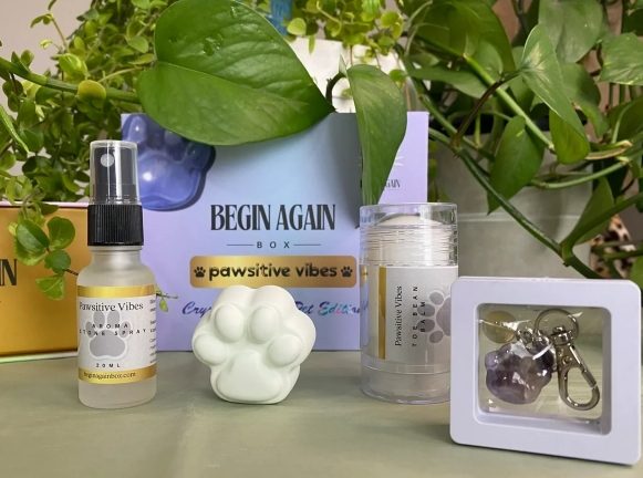 Pawsitive Vibes Crystal Healing Pet Edition