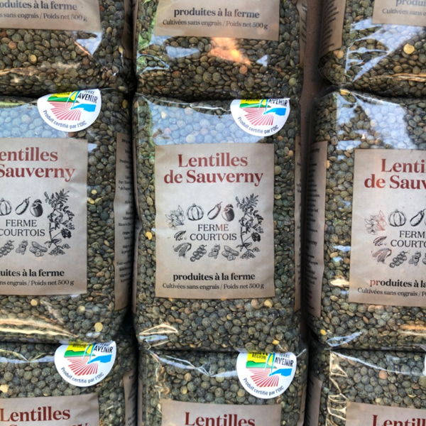lentilles-verte