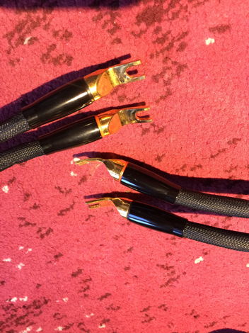 Transparent Audio MM SS  PAIR 8FT SPEAKER CABLES-THESE ...