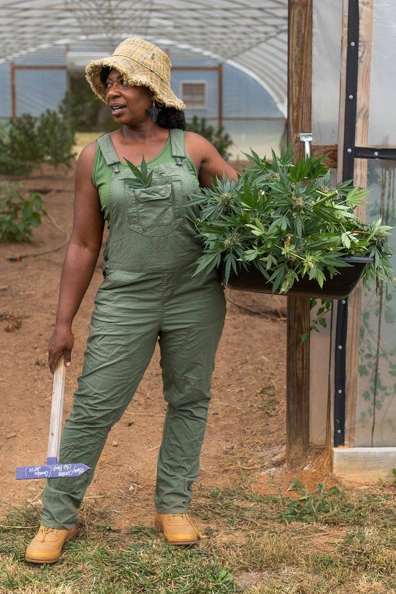 Welcome to Farmer Cee at Dovetail