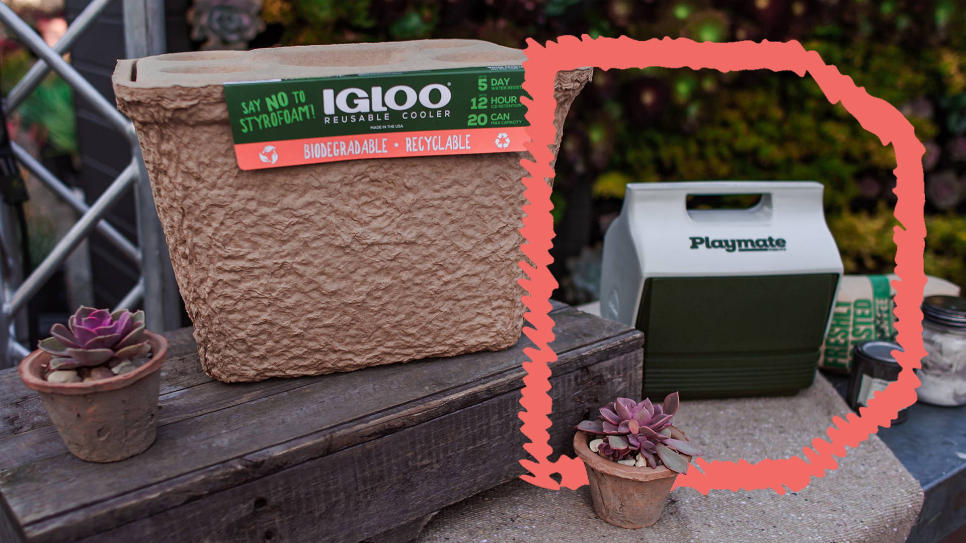 Featured image for How Igloo Went Sustainable With Recool