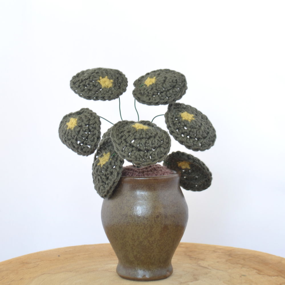 Pancake Plant Crochet Pattern