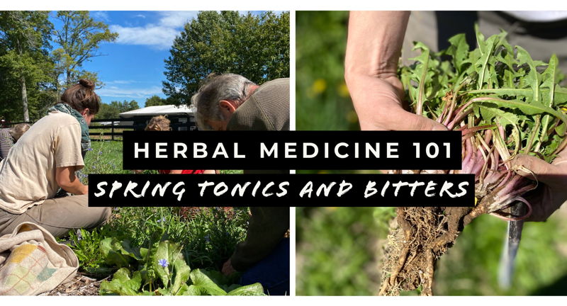 Herbal Medicine 101: Spring Tonics and Bitters