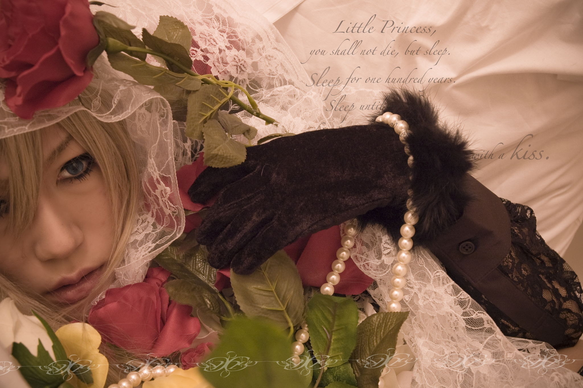 眠り姫 Ⅲ | 加藤みさ姫 | AWRD