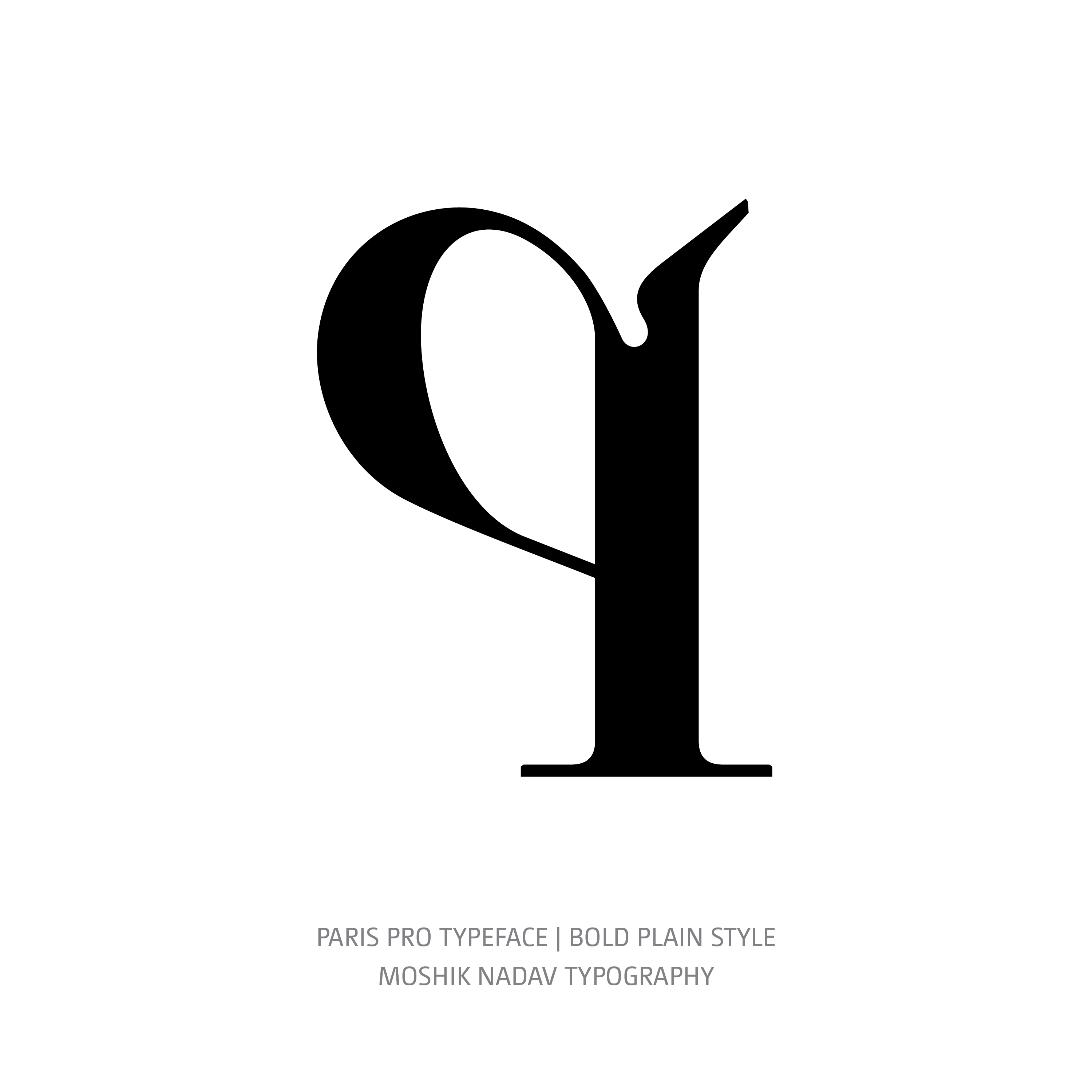 Paris Pro Typeface Bold Plain q