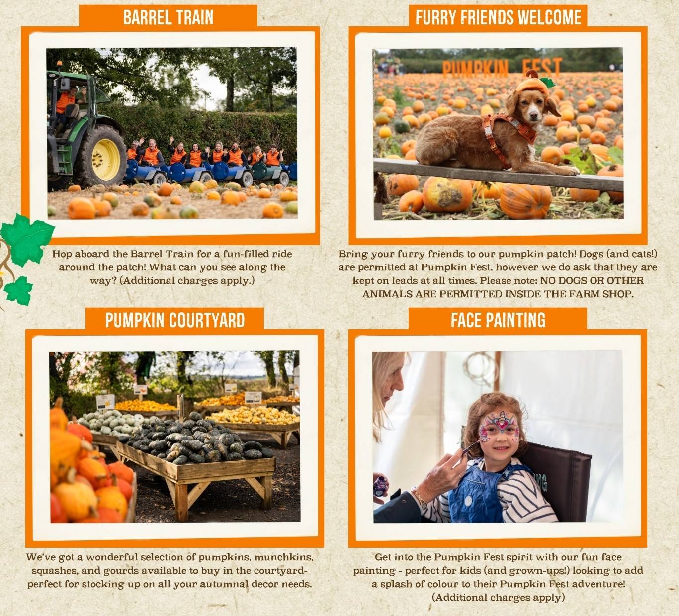 Discover the biggest and best pumpkin festival in Devon & Cornwall, and South West! Pumpkin Fest at Strawberry Fields is the ultimate family day out with a huge pumpkin patch, pumpkin picking, maize maze, barrel train rides, photo spots, tasty autumn treats & fun for all ages. Book now!