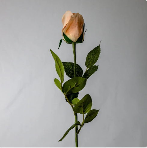 Coral Real Touch Open Bud Rose - Realistic Artificial Flowers - Image 3