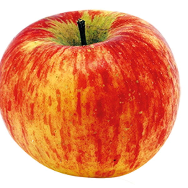 pommes-topaz-bio