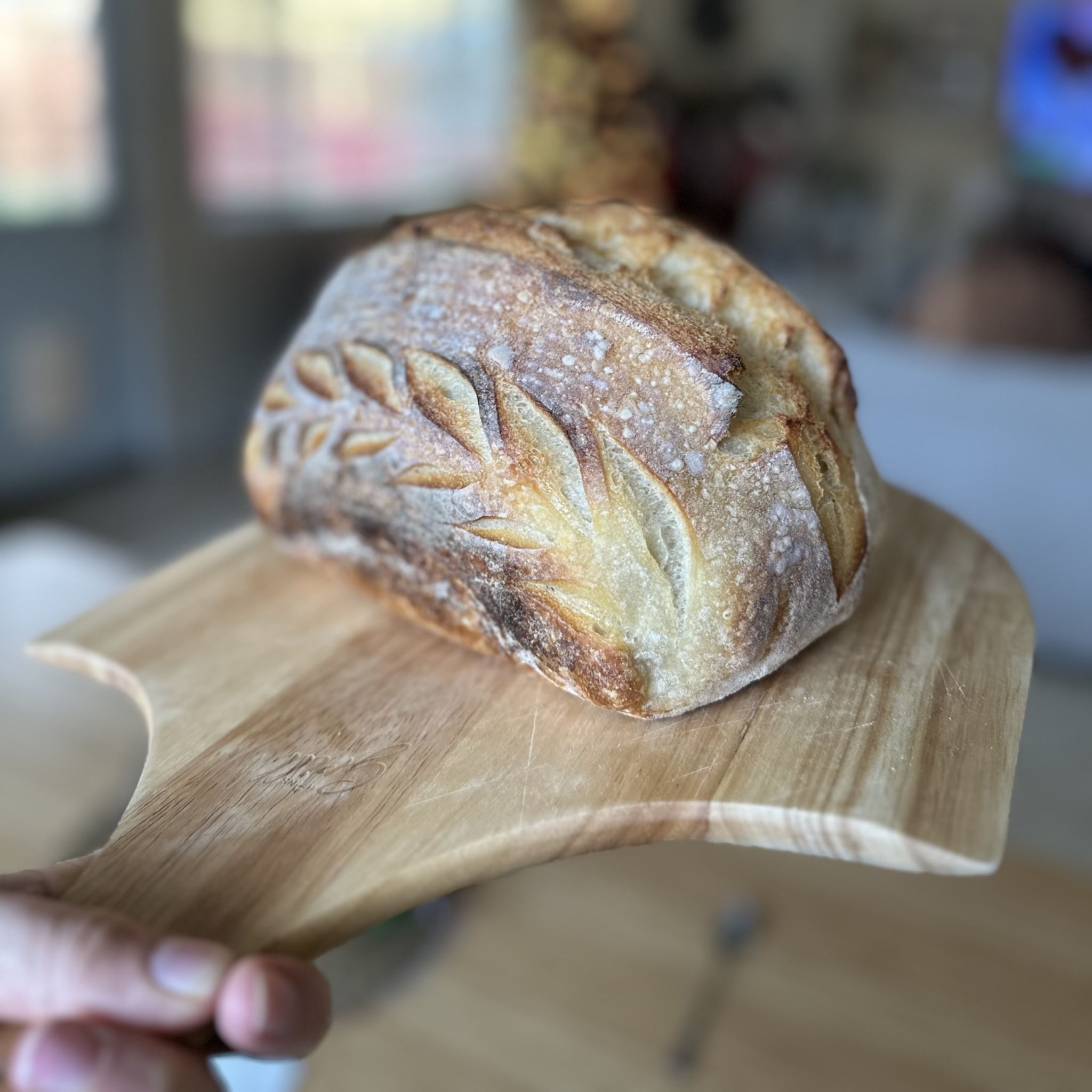 Andrea Baking Sourdough — photo from hotplate.com