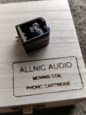 Allnic Audio Puritas