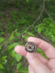 Cigar Session Photo