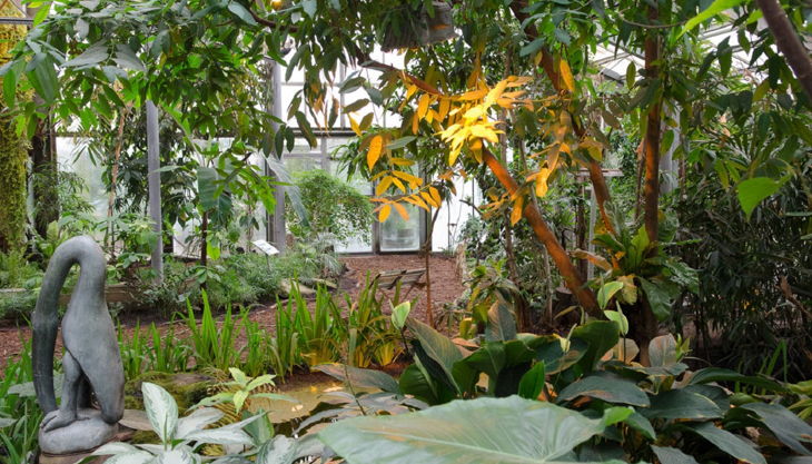 zoo krefeld vogelhaus