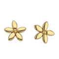 Shop ladies 9 carat gold earrings