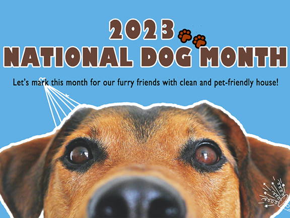 Celebrate National Dog Month: Keep Your House Clean and Pet-Friendly
