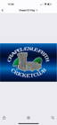 Chapel cricket club logo