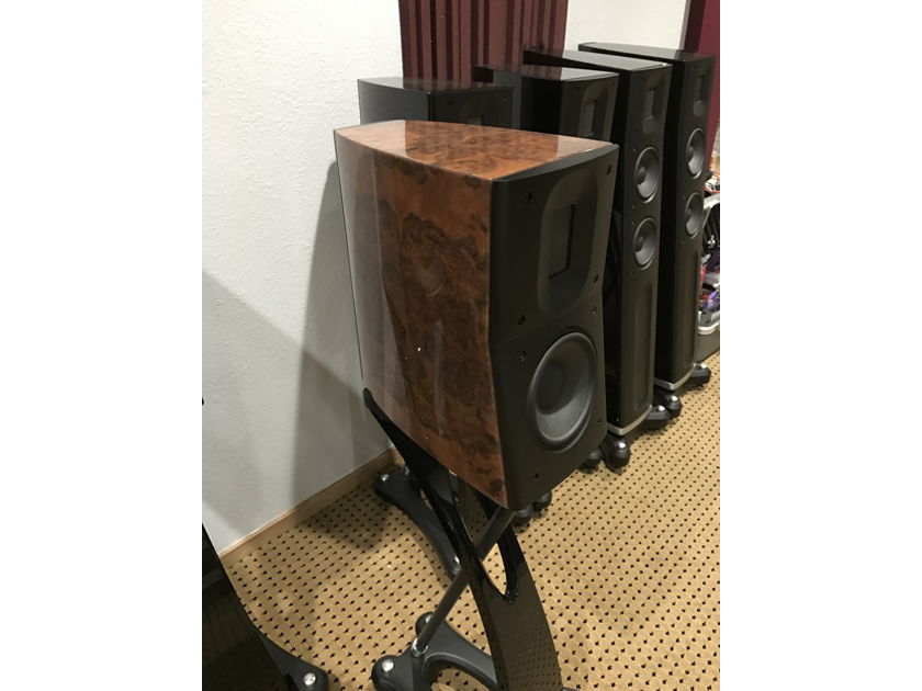 Raidho Acoustics APS D1 Walnut Burl 3 years old, trade in. W/ upgraded stands.