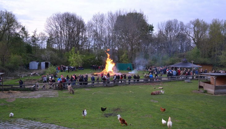 hochseilgarten feuerstelle