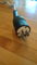 CRL Gold or Copper 6 ft AC Power Cord 2