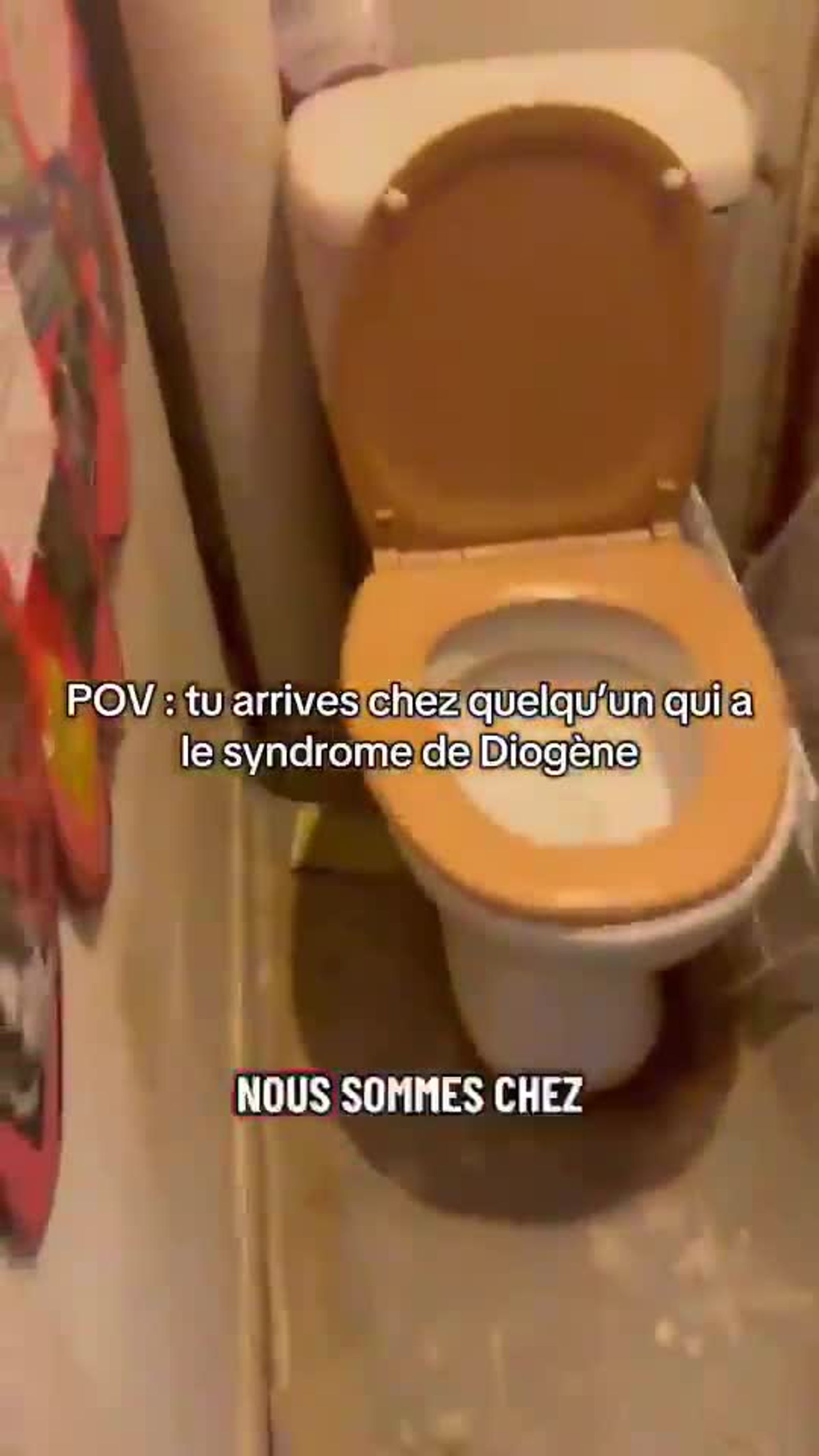 Soin et remise en sécurité d’un logement atteint du syndrome de Diogène