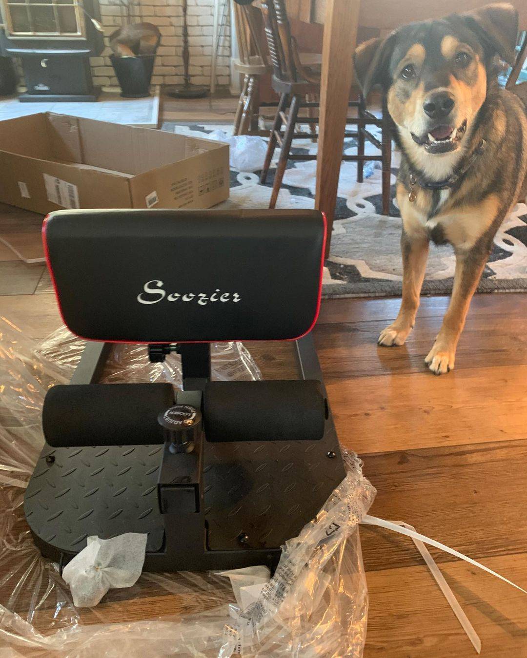 Soozier 3-in-1 Sissy Squat Machine